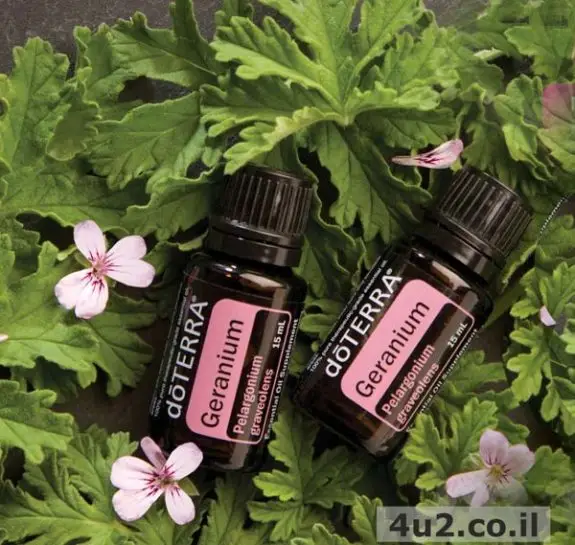 גרניום, שמן אתרי טהור, 15 מ"ל