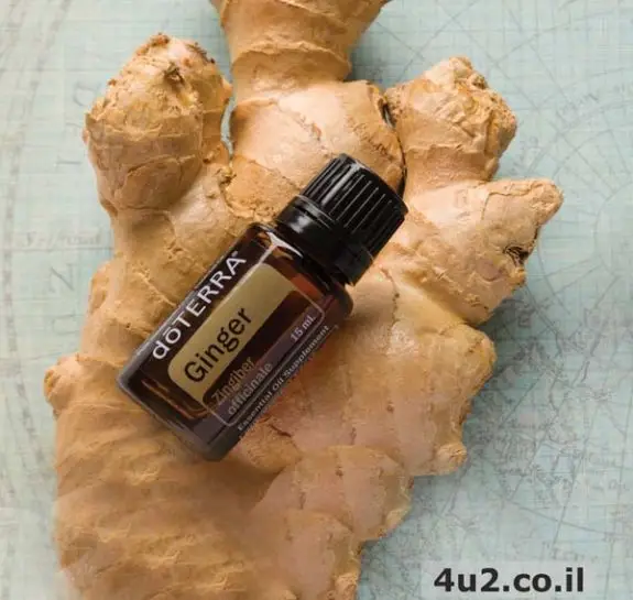 ג'ינג'ר, שמן אתרי טהור, 15 מ"ל