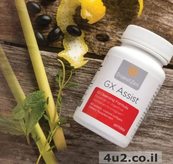 ג'י אקס אסיסט