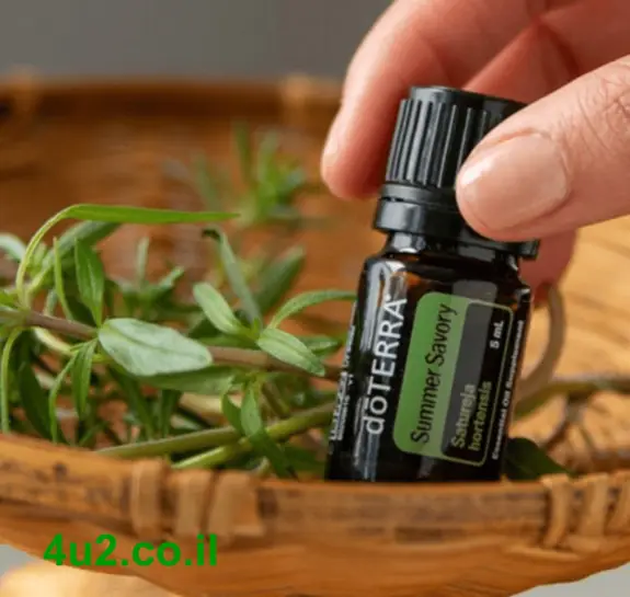 צתרה קייצית, שמן אתרי טהור, 5 מ"ל