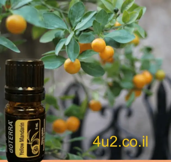 מנדרינה צהובה