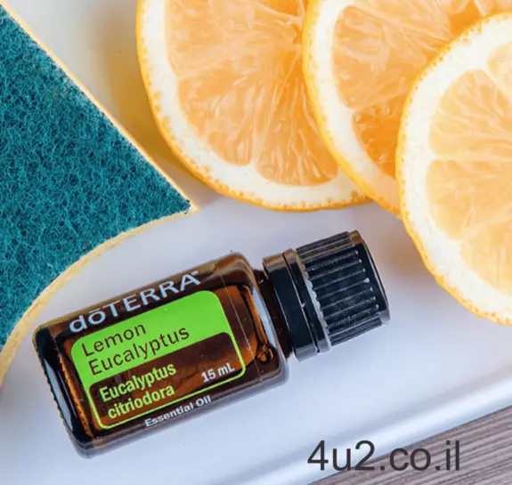 אקליפטוס לימוני