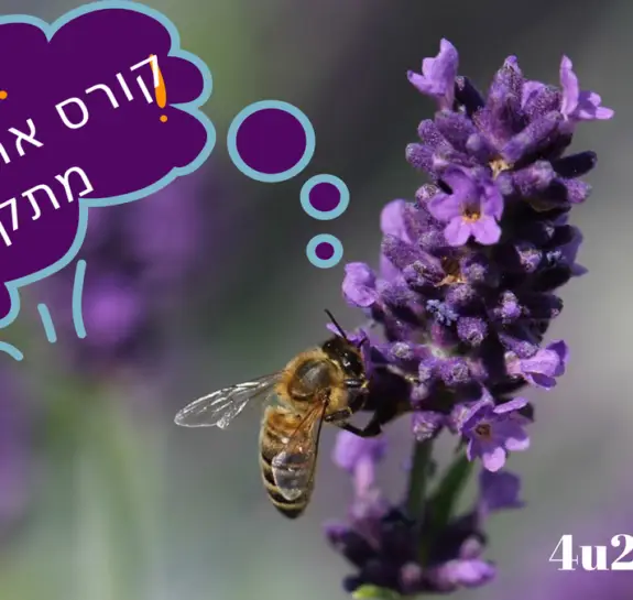 קורס ארומתרפיה מתקדם